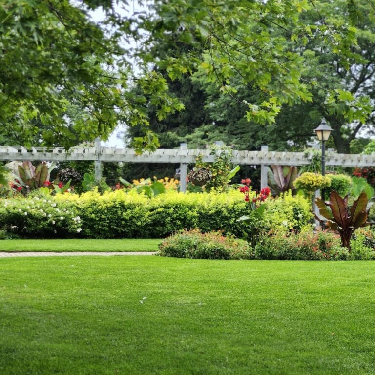 Garden Makeover Tips