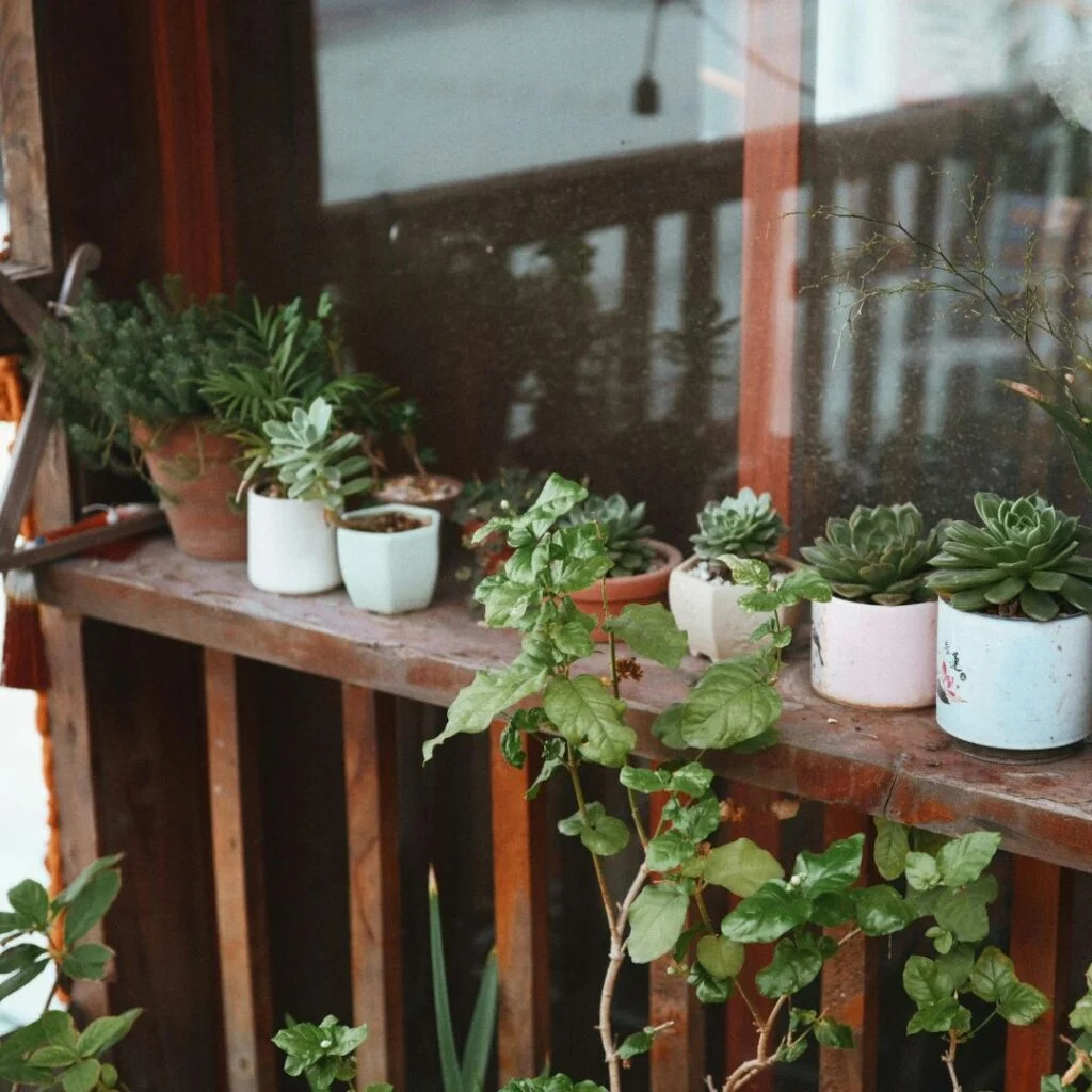 Small Balcony Garden Ideas For Apartments