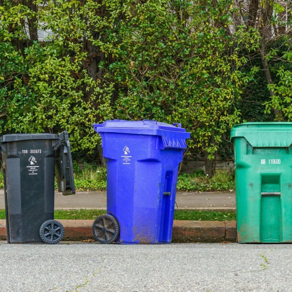 Recycling Bin Cleaning